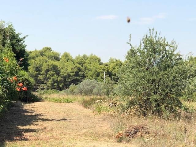 (Προς Πώληση) Αξιοποιήσιμη Γη Αγροτεμάχιο || Ανατολική Αττική/Καπανδρίτι - 7.750 τ.μ, 270.000€ 